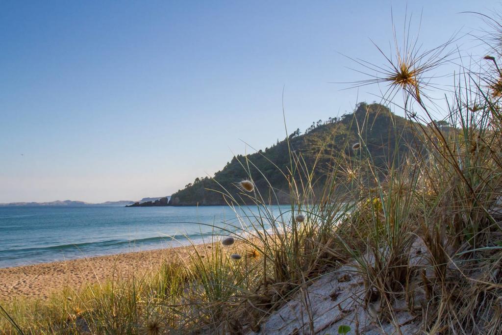 Willa Ocean Cliff Court Kuaotunu Zewnętrze zdjęcie